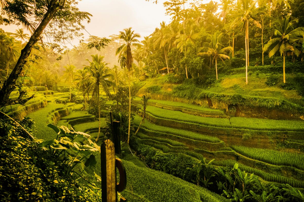 Ubud
