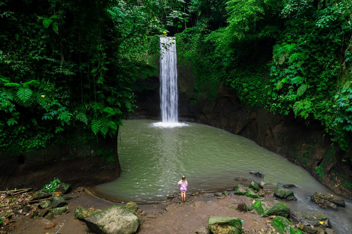 Ubud Sacred Waterfalls & Rice Terraces Tour