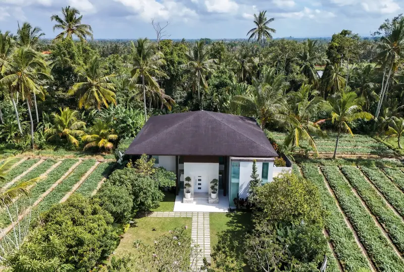 Villa Kalpavriksha