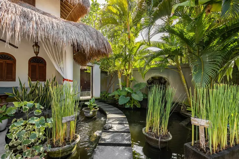 Serene Palms Luxury Escape